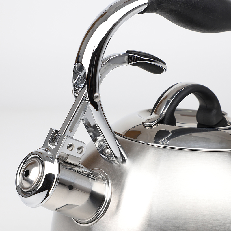 Stainless Steel Economic Whistling Tea Kettle With Color Painting