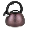 2.7L Stylish Simplicity Wholesale Factory Accept Customization Purple Stainless Steel Whistling Kettle With Nylon Handle